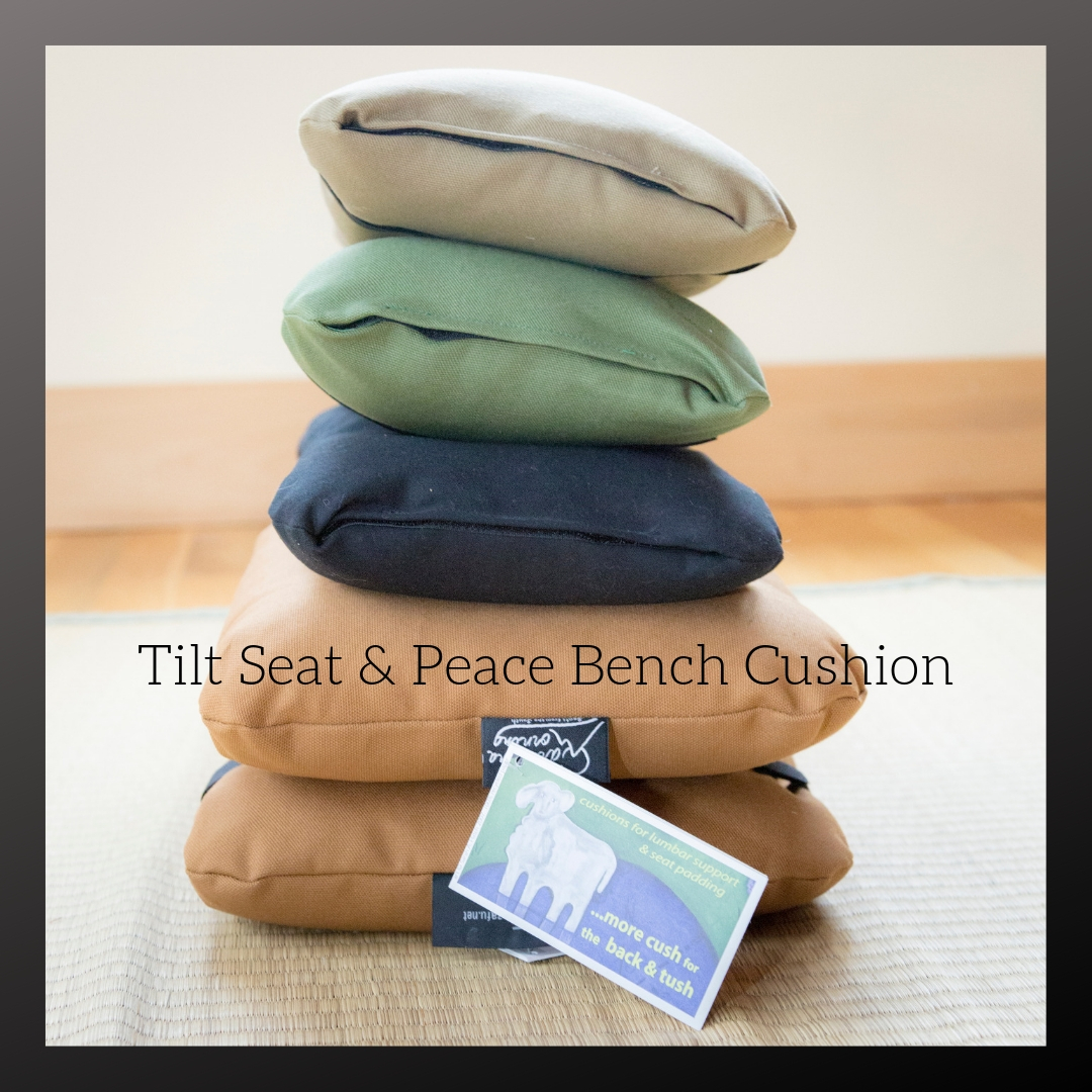 Tilt Seat™ /Sky Bench™ Cushion - Carolina Morning